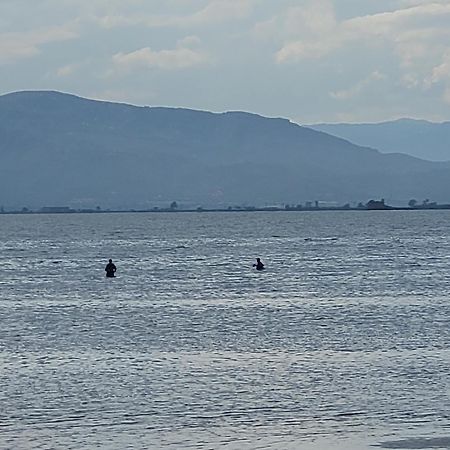 La Llar De Laura ξενώνας El Poble Nou del Delta Εξωτερικό φωτογραφία