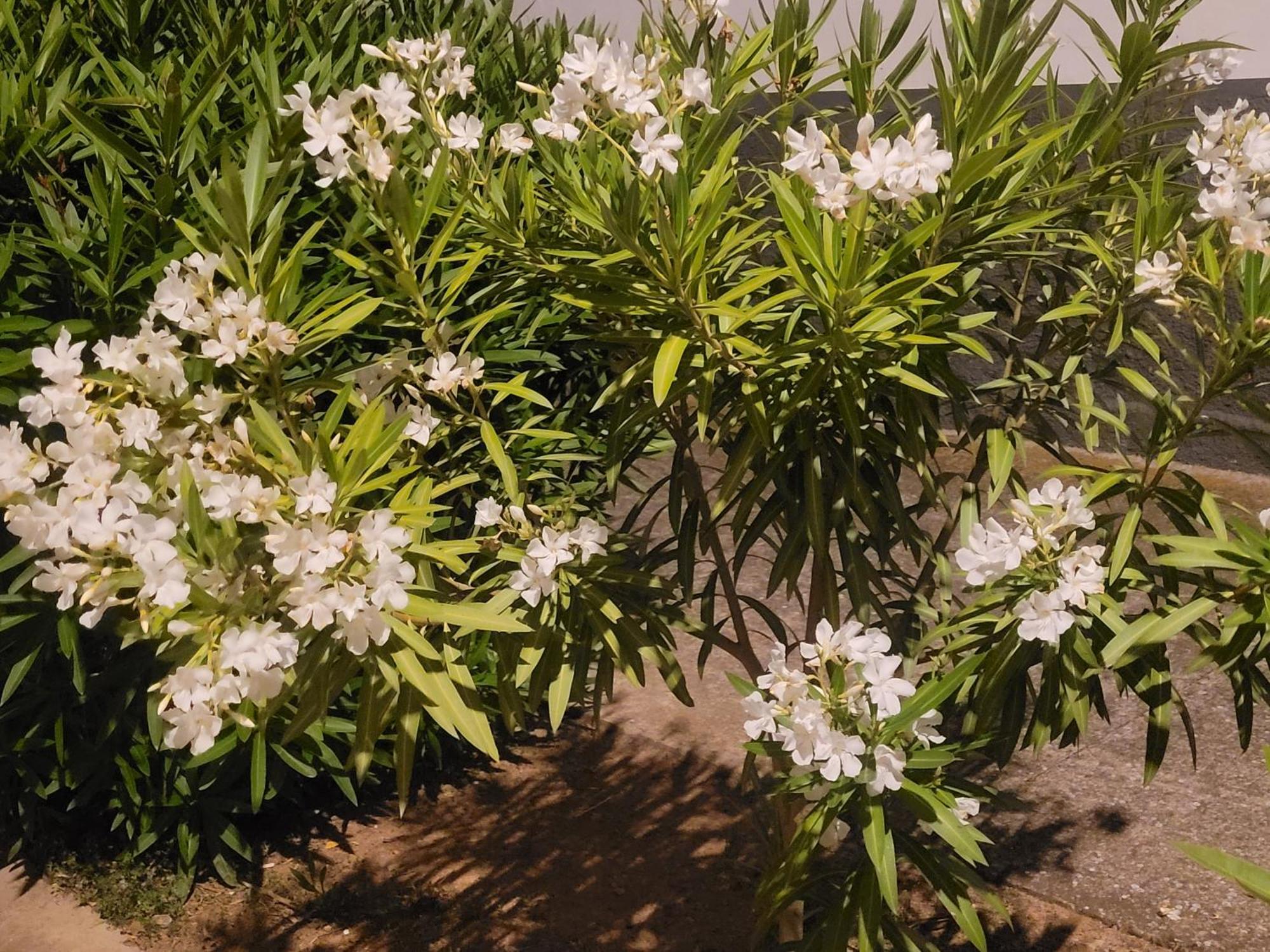 La Llar De Laura ξενώνας El Poble Nou del Delta Εξωτερικό φωτογραφία