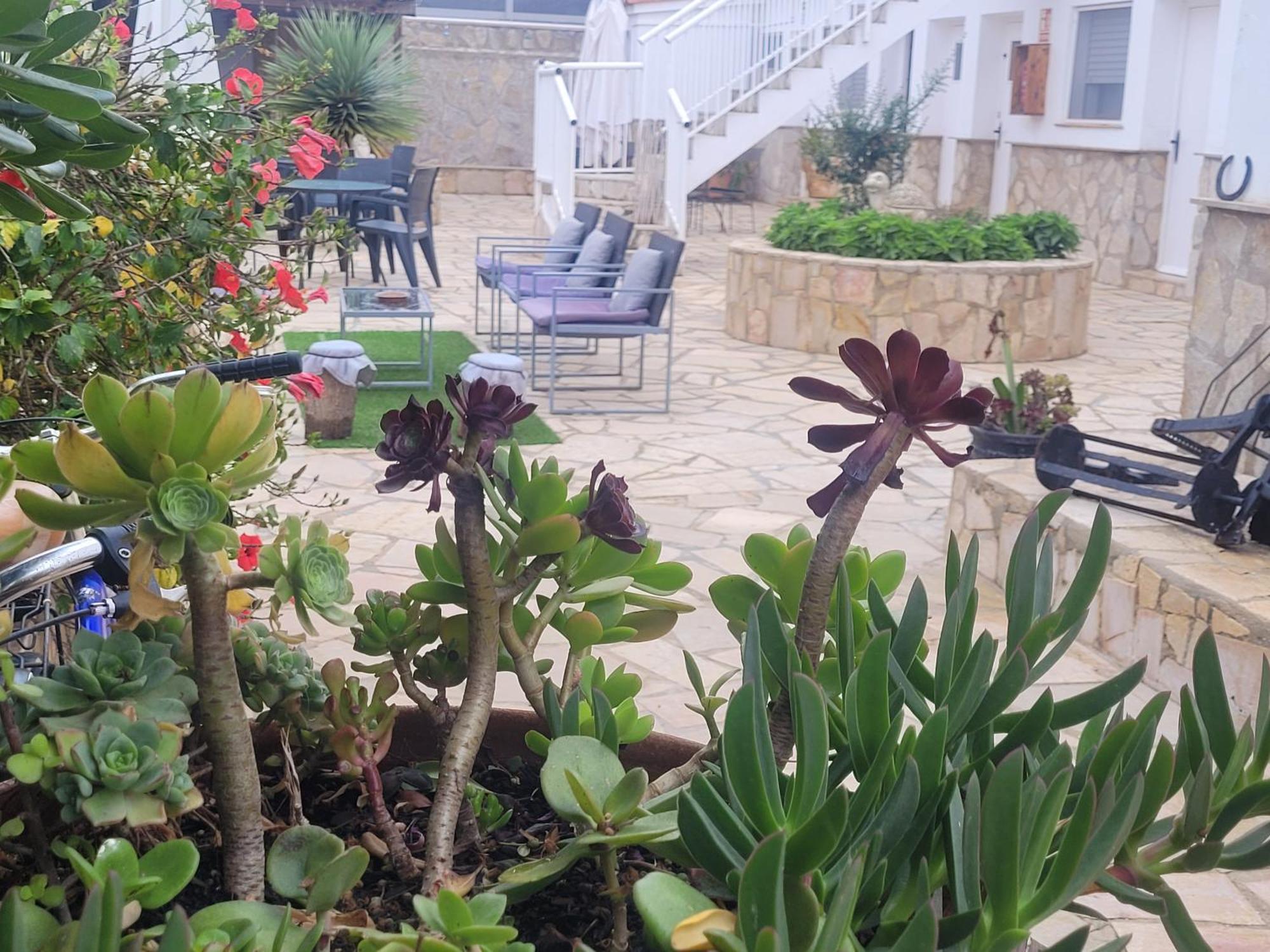 La Llar De Laura ξενώνας El Poble Nou del Delta Εξωτερικό φωτογραφία